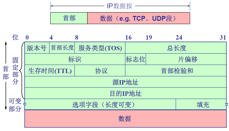 ip数据报格式